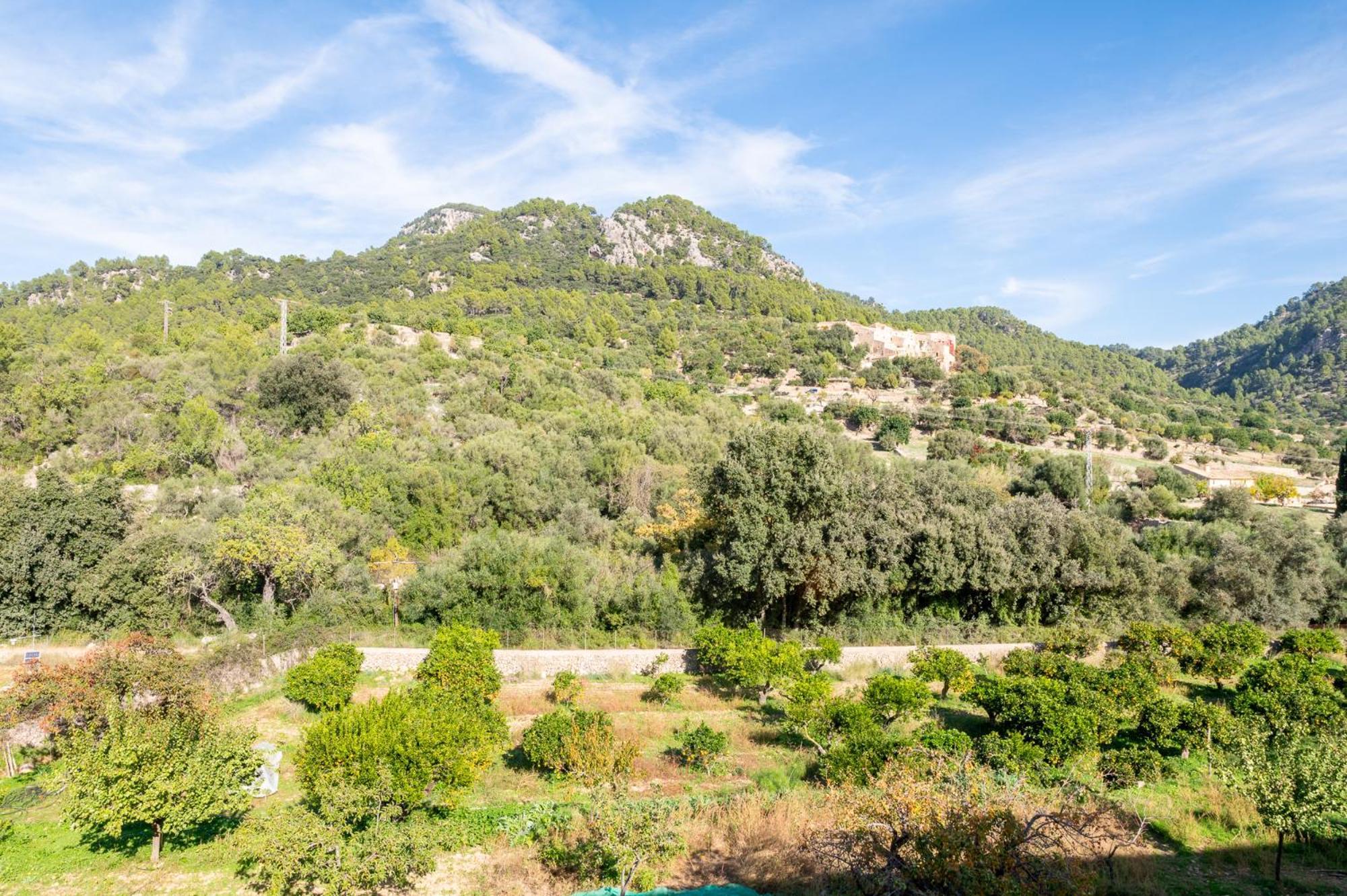 Agroturismo Filicumis By Mhr Lloseta Luaran gambar